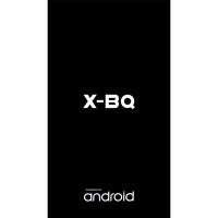 X-BQ P10s