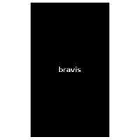 Bravis Cruiser NP104