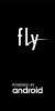 Fly-View