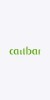 Callbar-S6