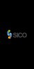 SICO-Diamond-SSD-1-53-13M