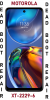 MOTOROLA E32 XT-2229-6 (DEAD BOOT REPAIR)