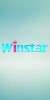 Winstar-W300
