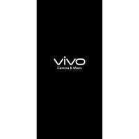 Vivo X200 Pro PD2405
