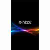 Ginzzu RS9602