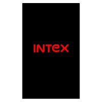 Intex Eco 205i