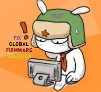 SOLUTION FIX GLOBAL FIRMWARE BY FLASHING (FILE CUST)