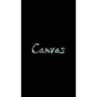 Micromax Canvas Evok Power Q4260