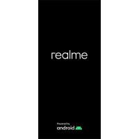 Realme GT 6 RMX3851 16
