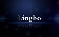 Lingbo L17 MAX 10.1 Lingbo L17 MAX 10.1