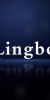 Lingbo-L17-MAX-10.1