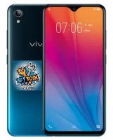 VIVO Y91C (PD1818HF) FRP BY BFT